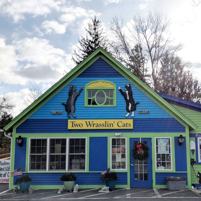 the store front at Two Wrasslin' Cats