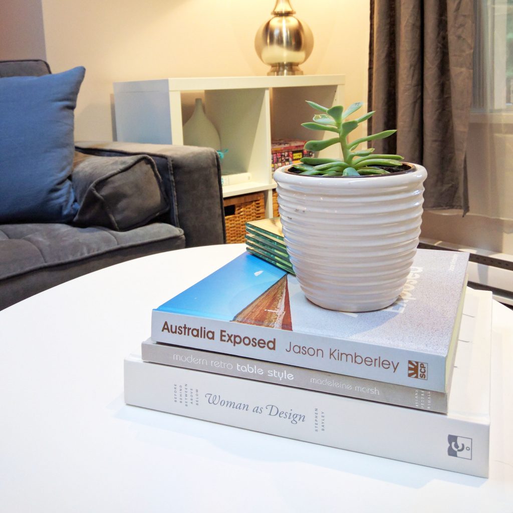 coffee table with books and a plant