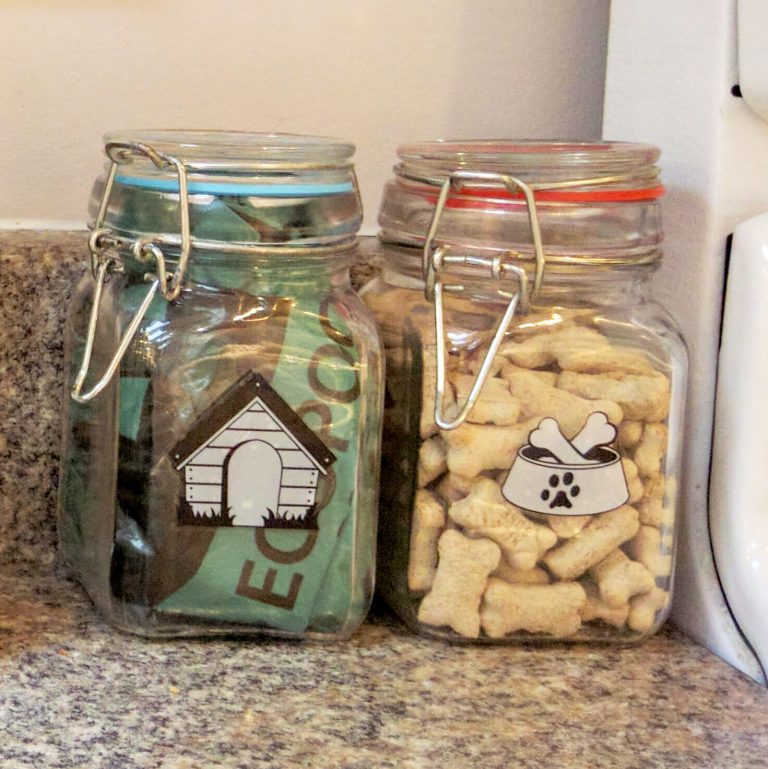 small airtight bottles with doggie treats