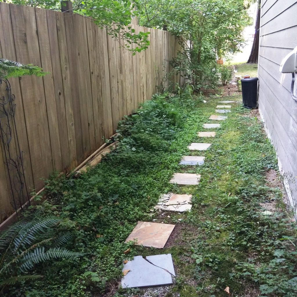 a stone path in a backyard