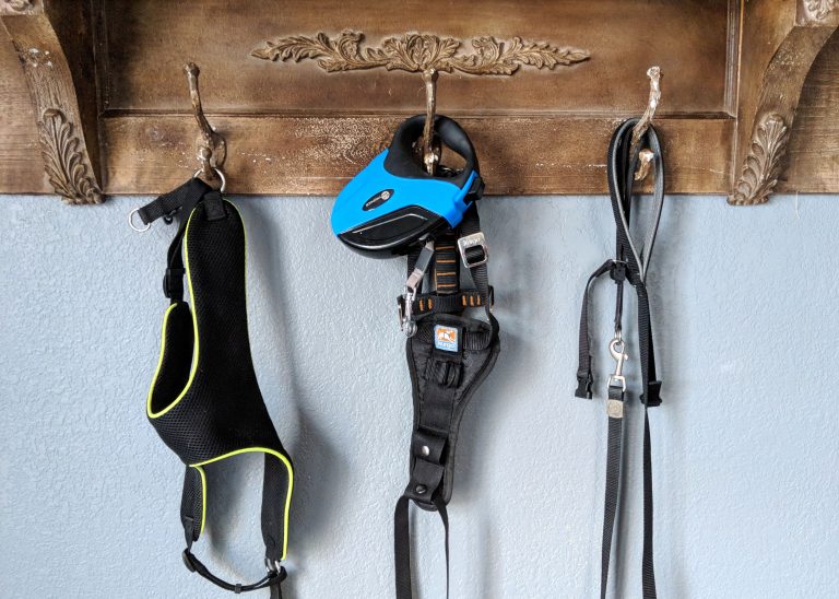 dog leashes hanging from three hooks
