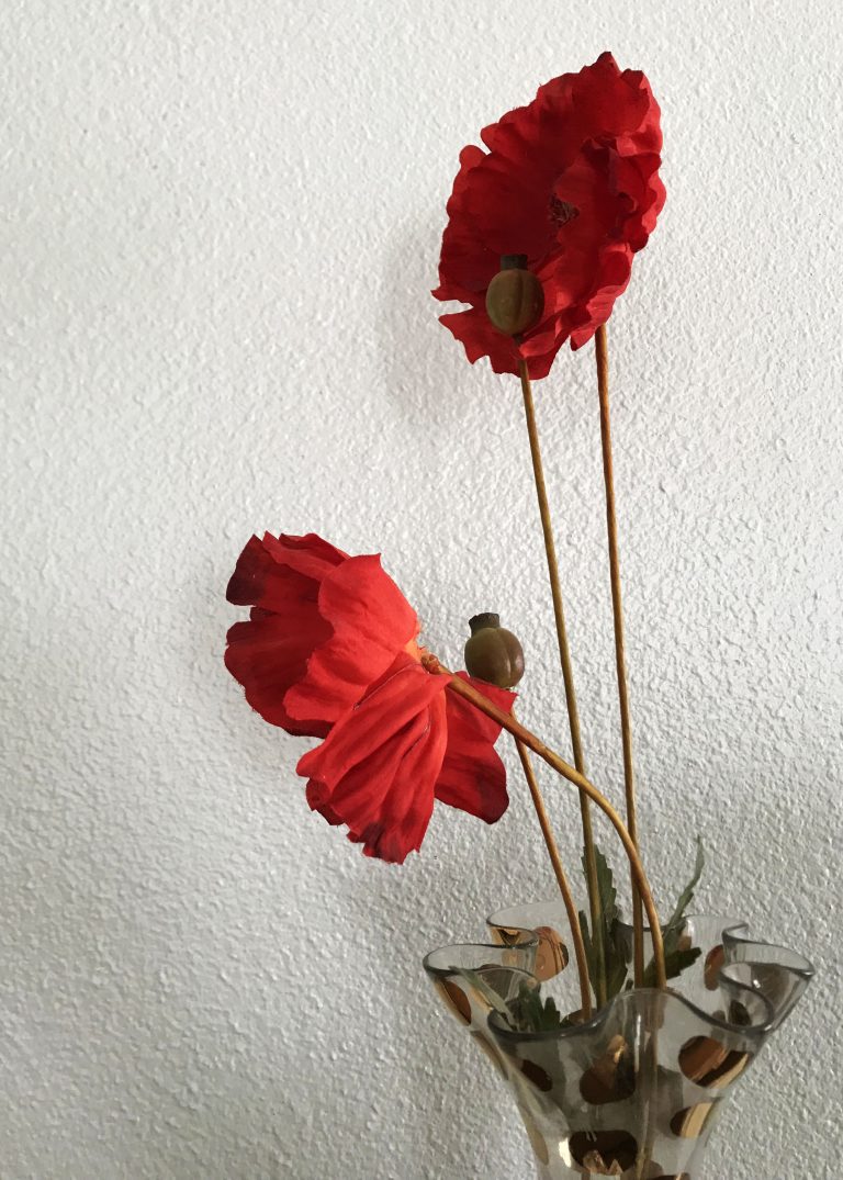 two red flowers in vase