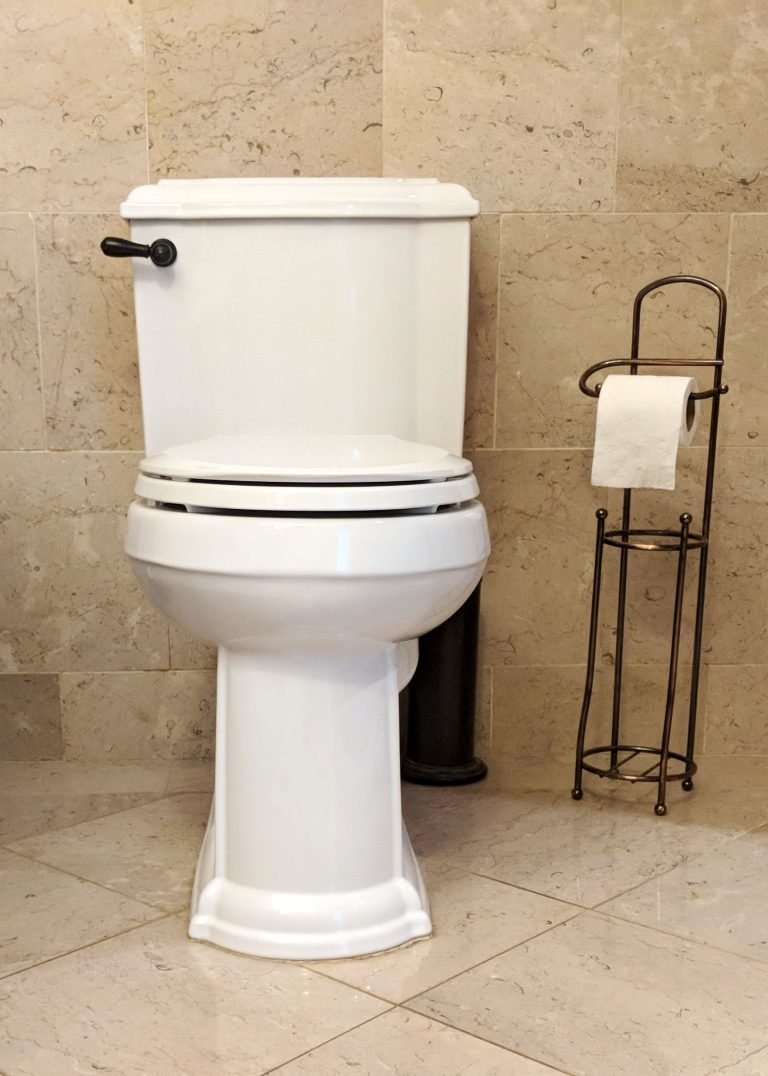modern toilet with toilet paper stand