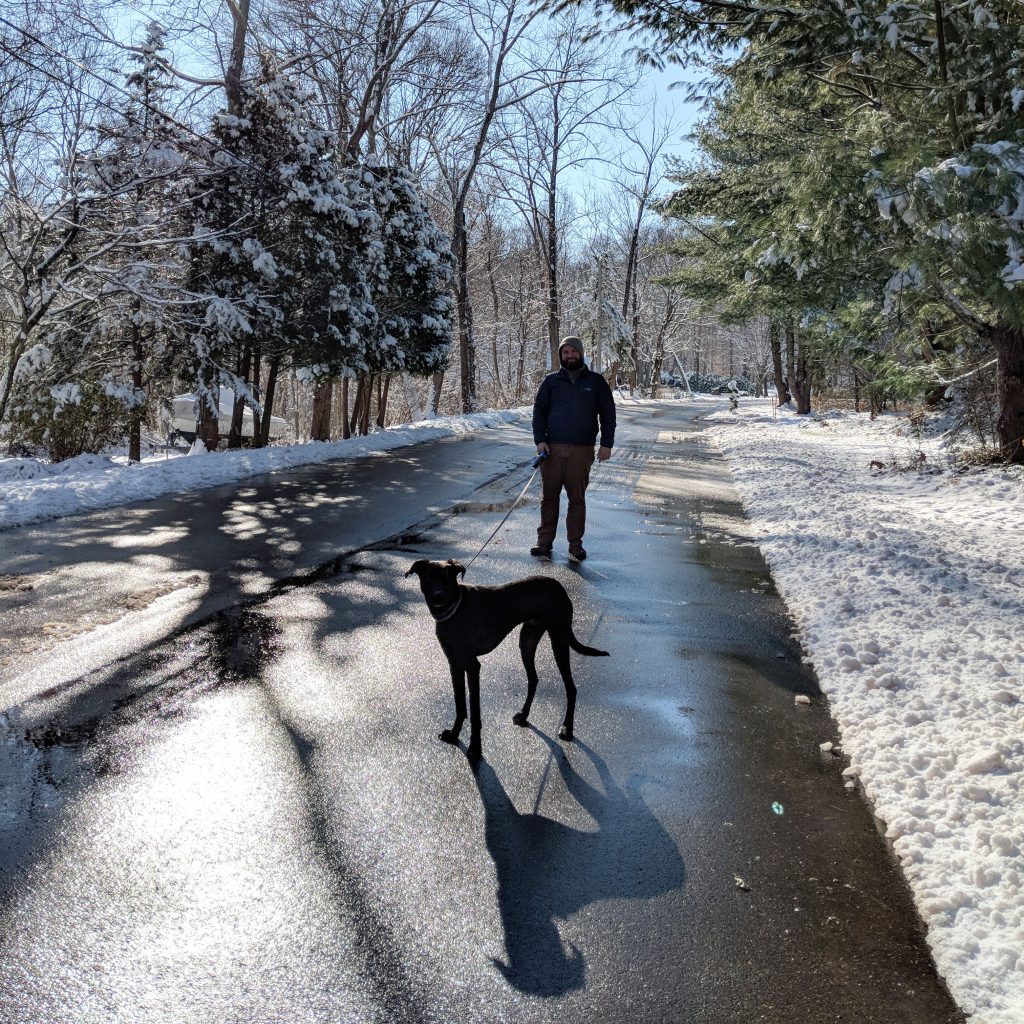our dog Odin on a walk down a snowy street