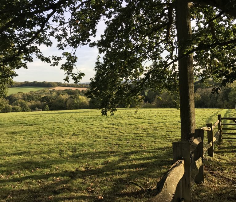 english countryside pasture near Benenden, England