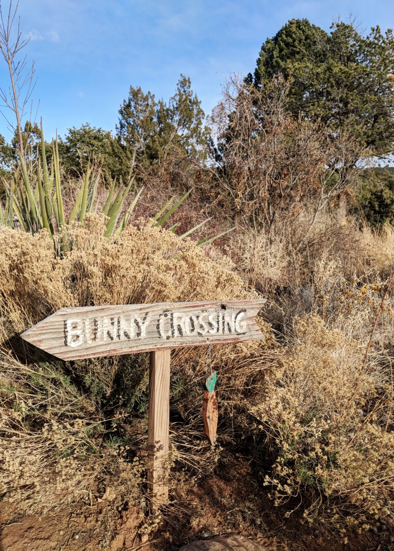 sign in desert for bunny crossing