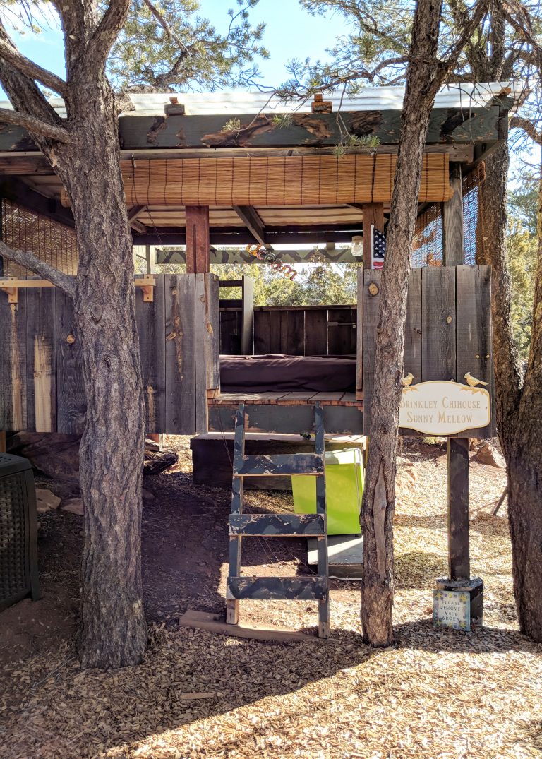 airbnb treehouse in tijeras new mexico