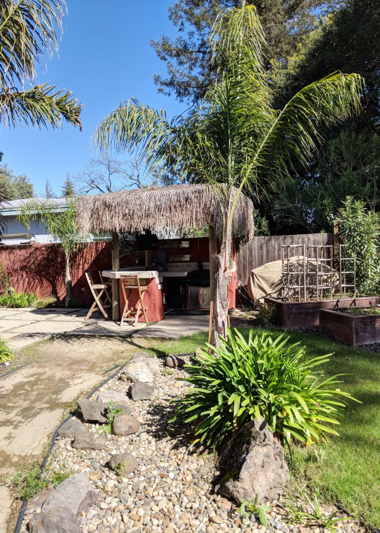 backyard cottage with outside tiki bar