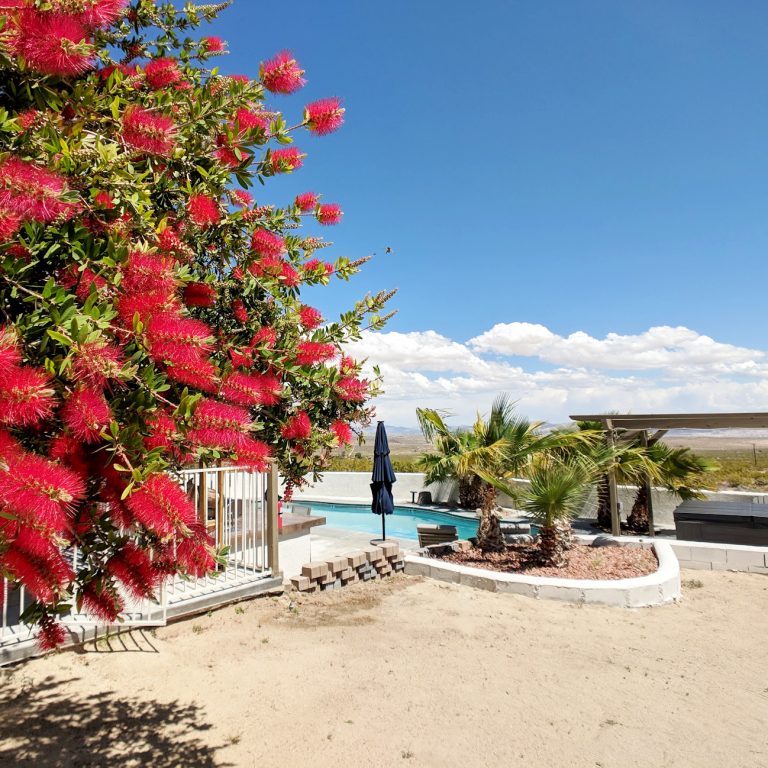 Airbnb with pool in Joshua Tree California